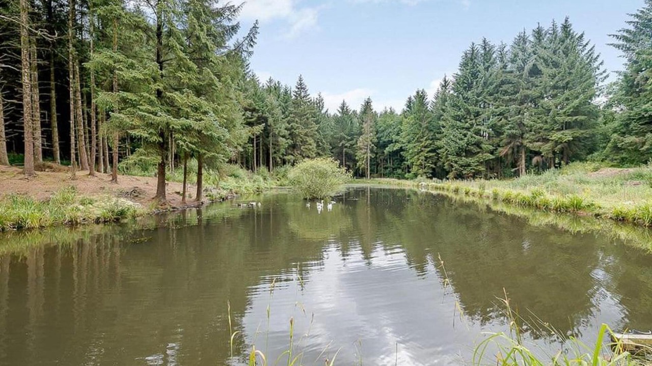 Photo of Others in Honiton