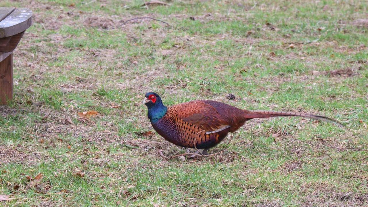 Photo of Others in Dunbar