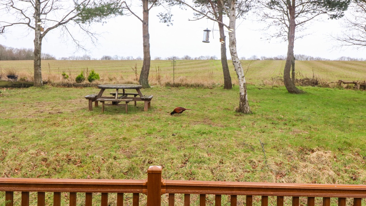 Photo of Outdoor in Dunbar