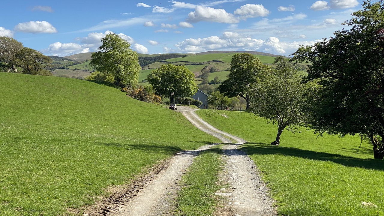 Photo of Others in Tregaron
