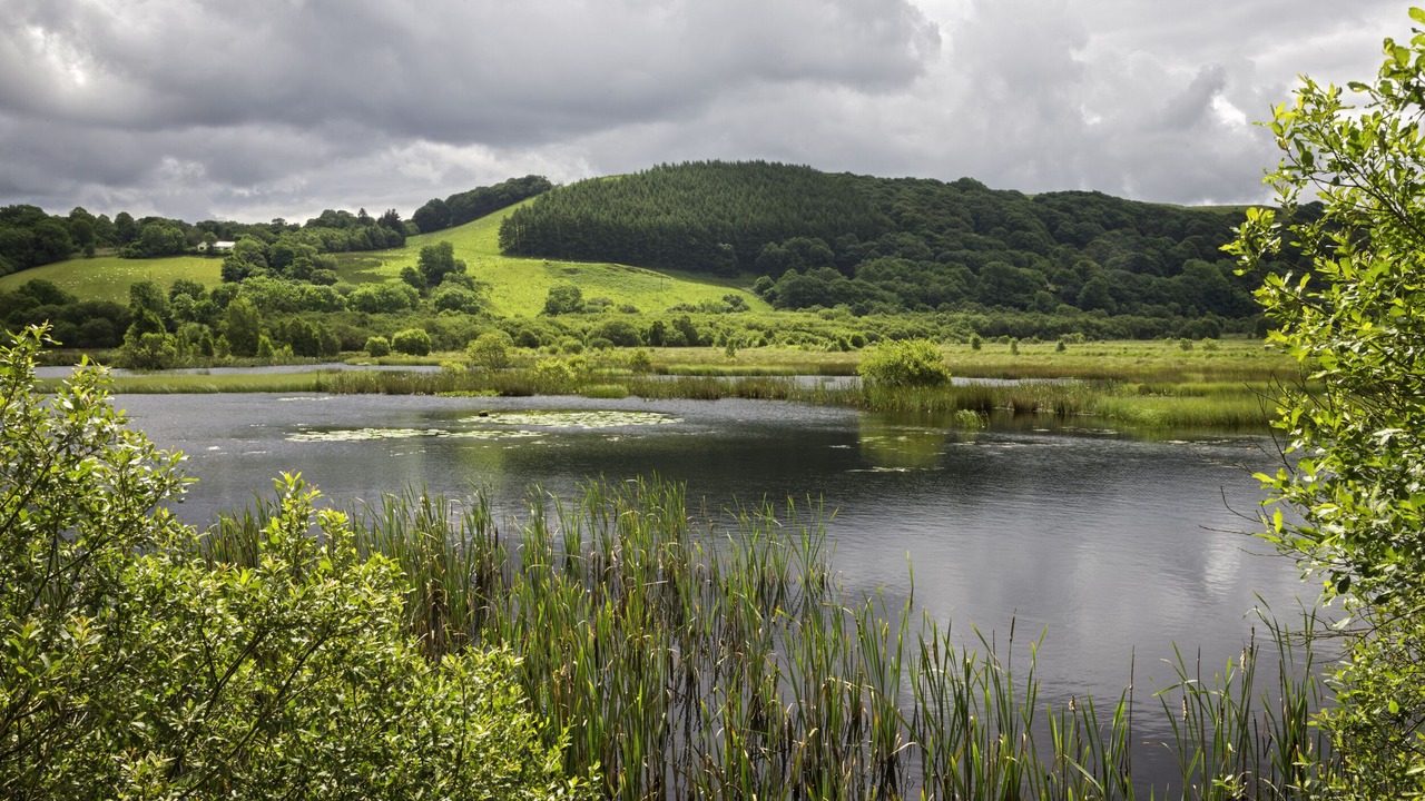 Photo of Others in Tregaron