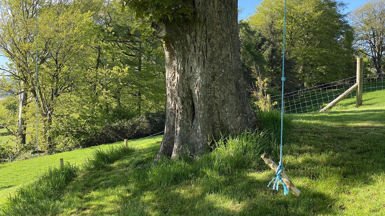 Photo of Outdoor in Tregaron