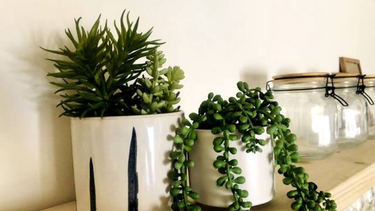 Photo of Others in Stroud