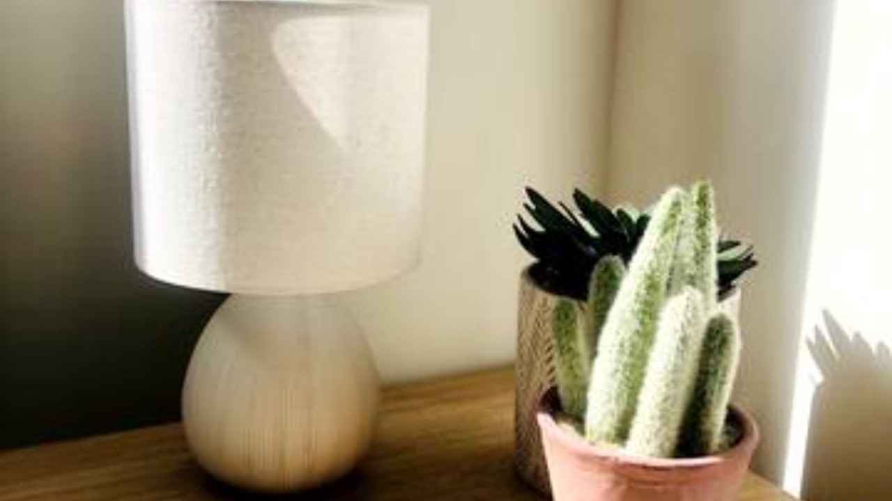 Photo of Others in Stroud