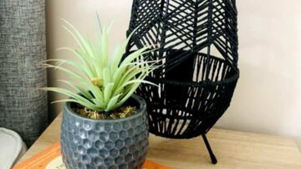 Photo of Others in Stroud