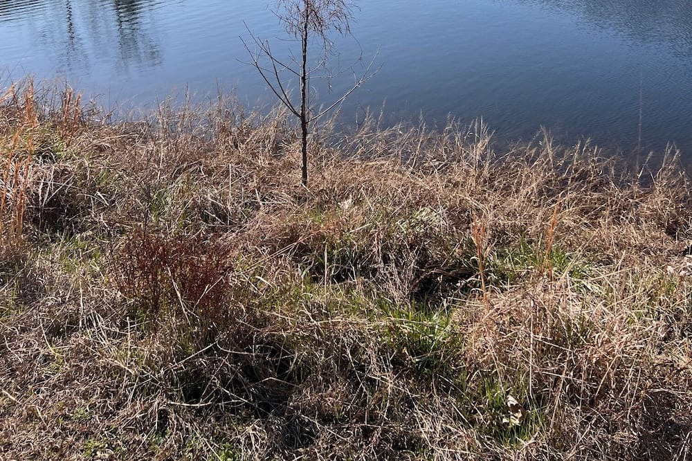 Photo of Outdoor in Centerville