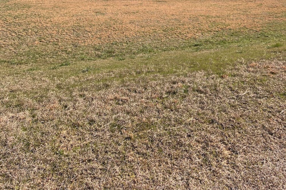 Photo of Outdoor in Centerville