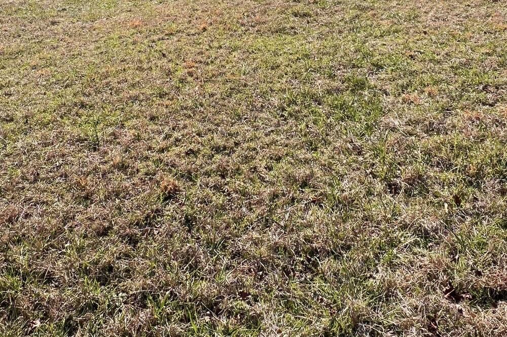 Photo of Outdoor in Centerville