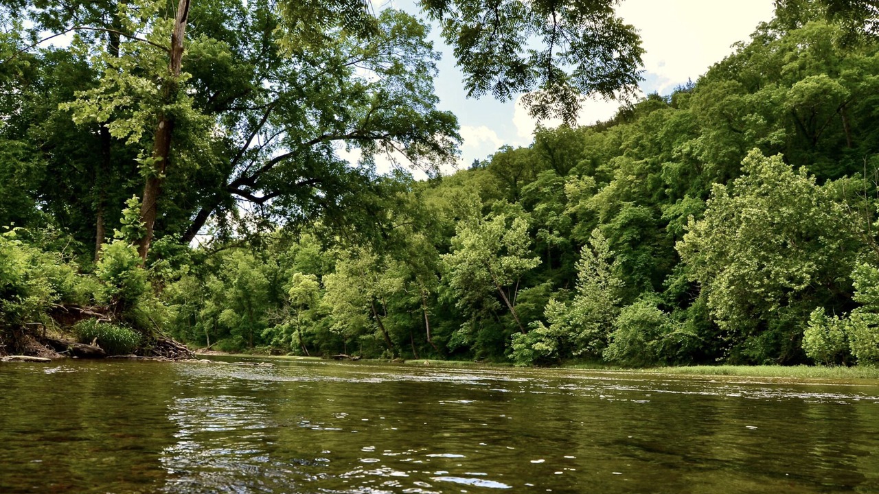 Photo of Outdoor in Branson