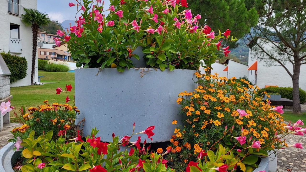 Photo of Outdoor in Capriasca