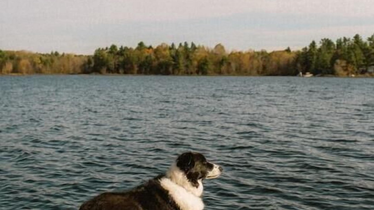 Photo of Others in Georgian Bay