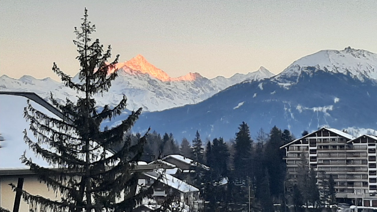 Photo of Outdoor in Lens