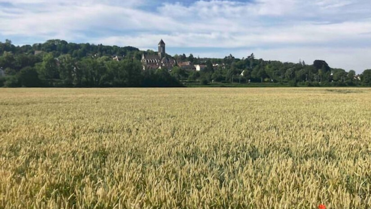 Photo of Others in Champagne-sur-Oise