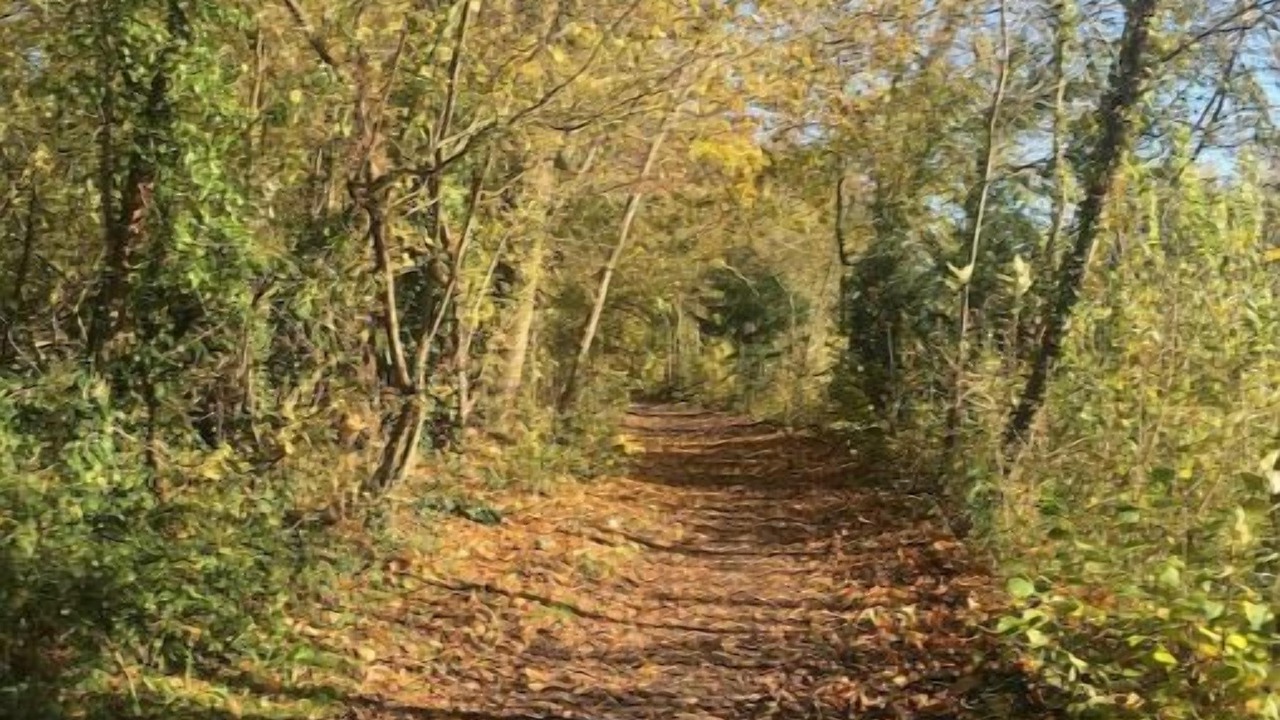Photo of Others in Champagne-sur-Oise