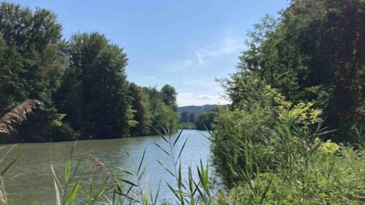 Photo of Others in Champagne-sur-Oise