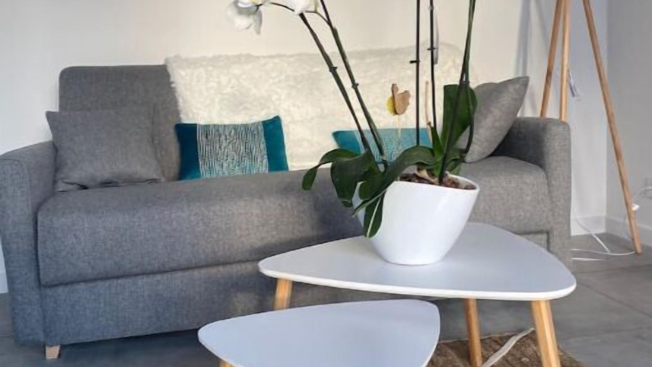 Photo of Others in Champagne-sur-Oise