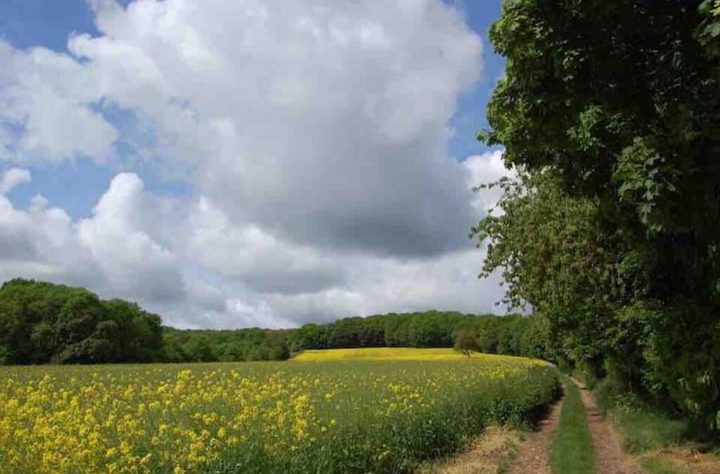 Photo of Others in Champagne-sur-Oise
