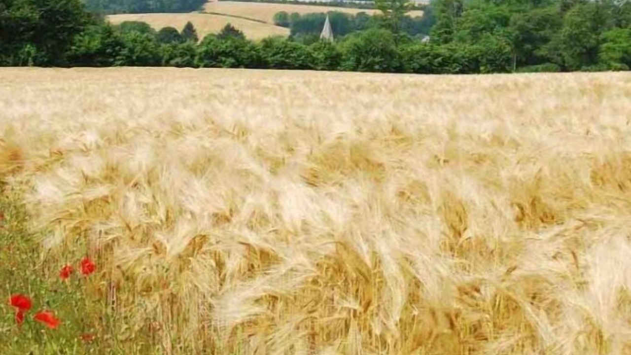 Photo of Others in Champagne-sur-Oise
