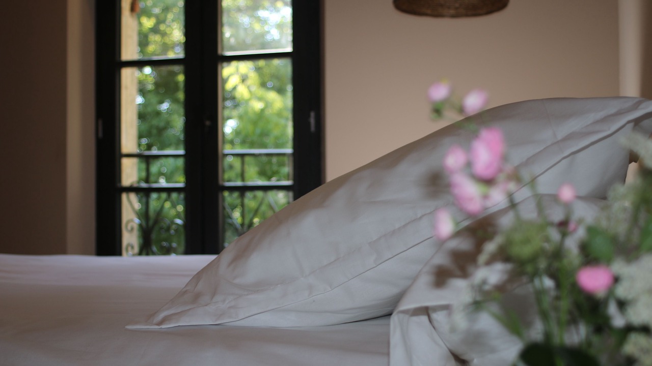 Photo of Others in Saint-Jean-de-Blaignac