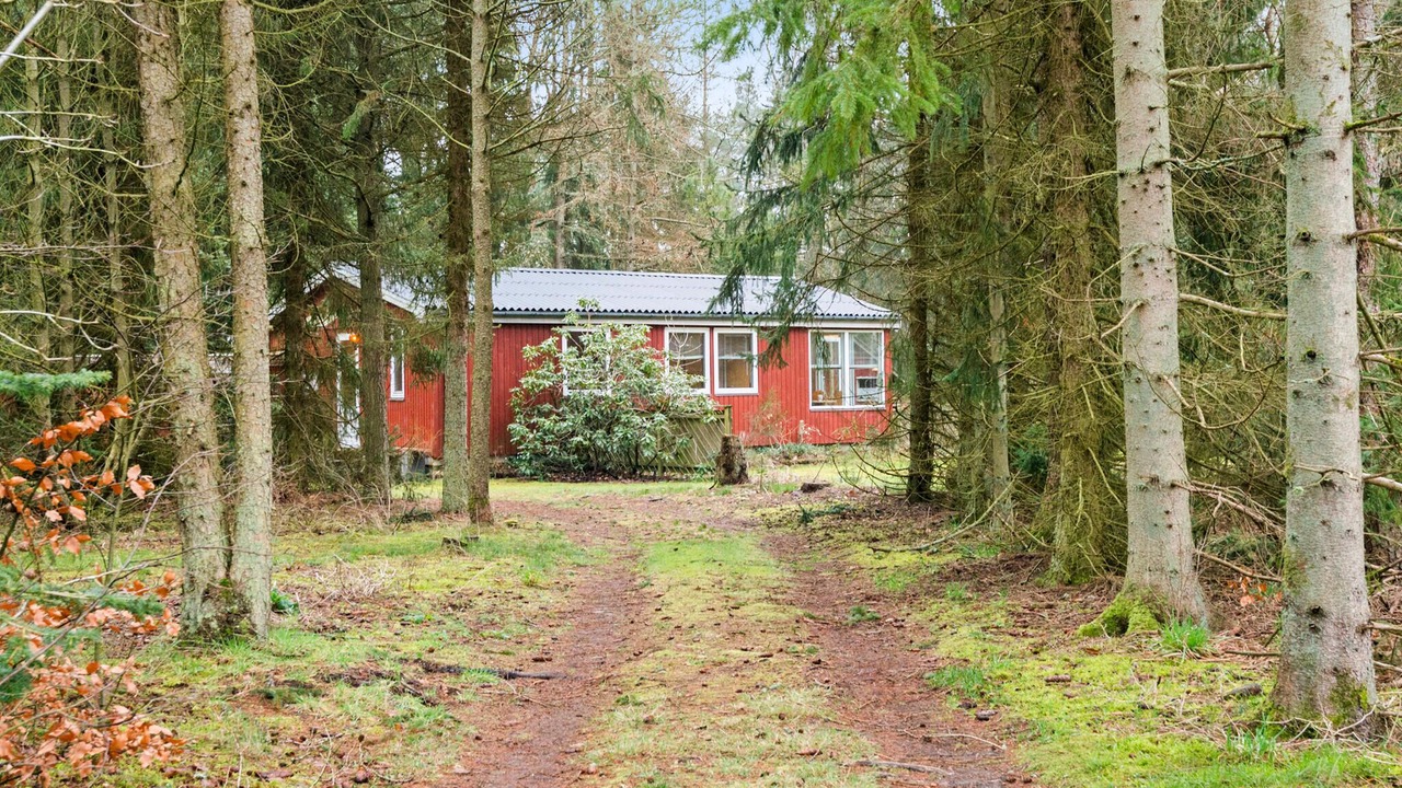 Photo of Others in Ans