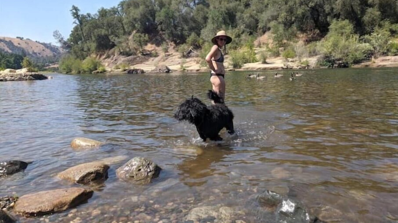 Photo of Others in Placerville