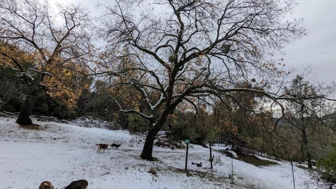 Photo of Others in Placerville