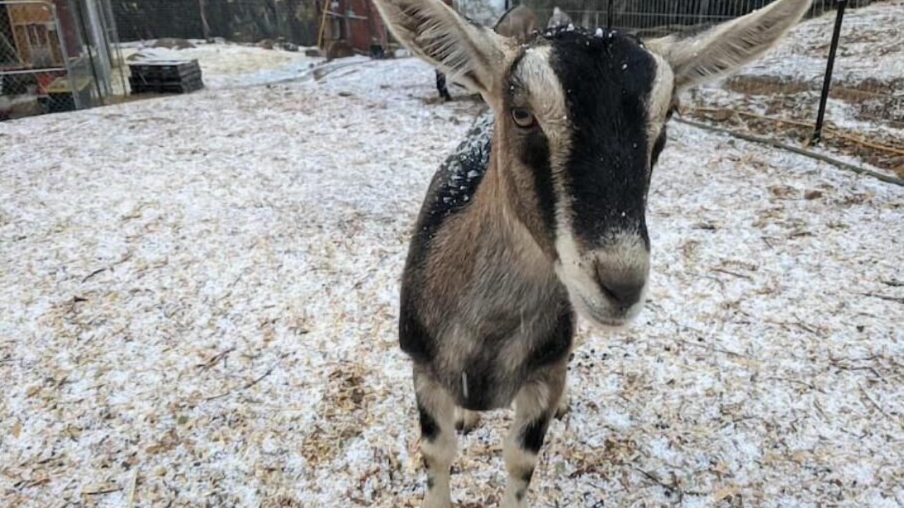 Photo of Others in Placerville