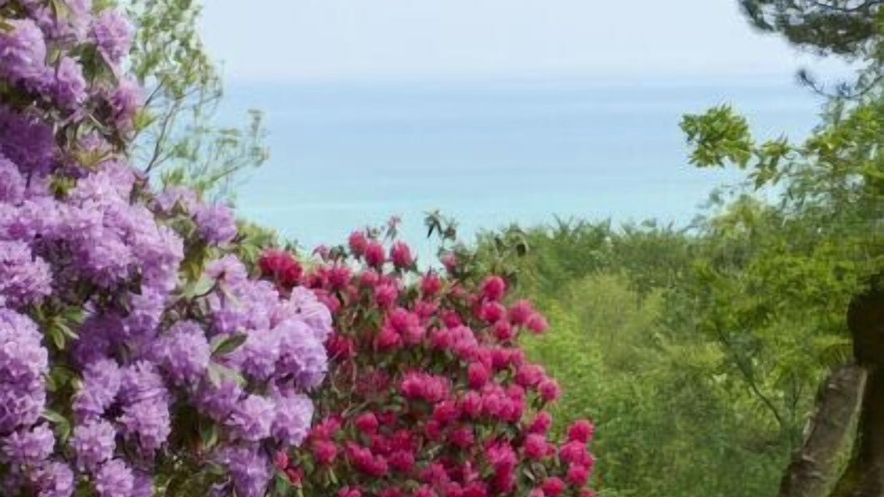 Photo of Outdoor in Sainte-Marguerite-sur-Mer