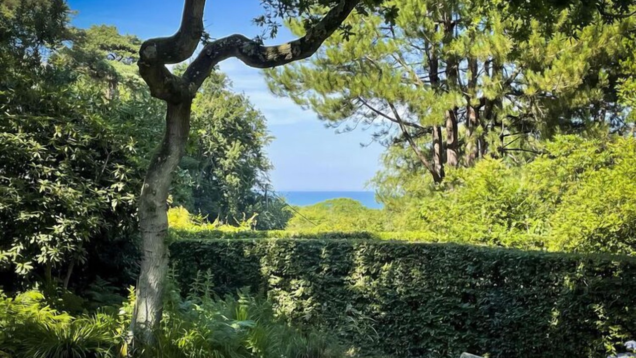 Photo of Others in Sainte-Marguerite-sur-Mer