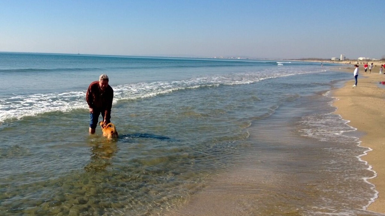 Photo of Others in Saint-Nazaire