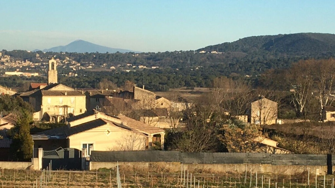 Photo of Others in Saint-Nazaire