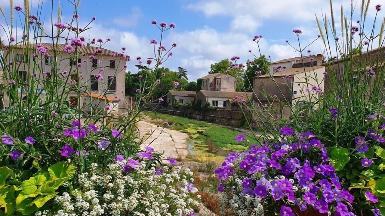 Photo of Outdoor in Alignan-du-Vent