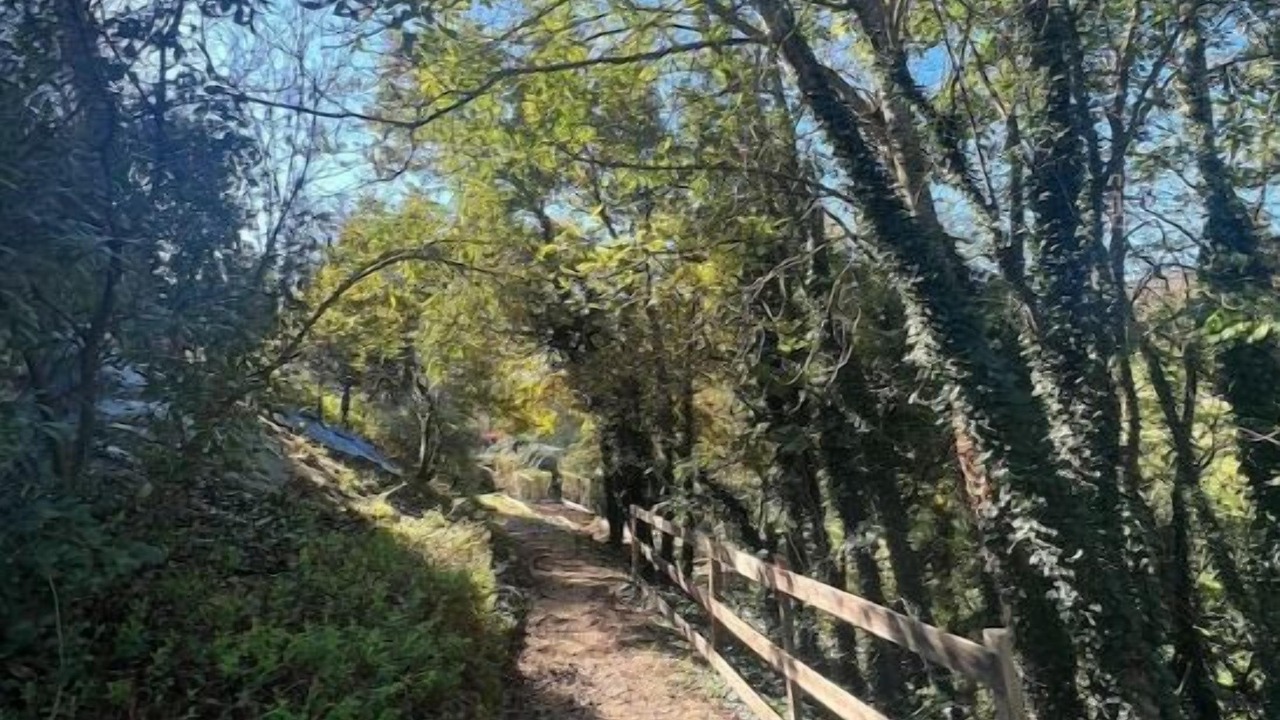 Photo of Outdoor in Saint-Bonnet-de-Chavagne