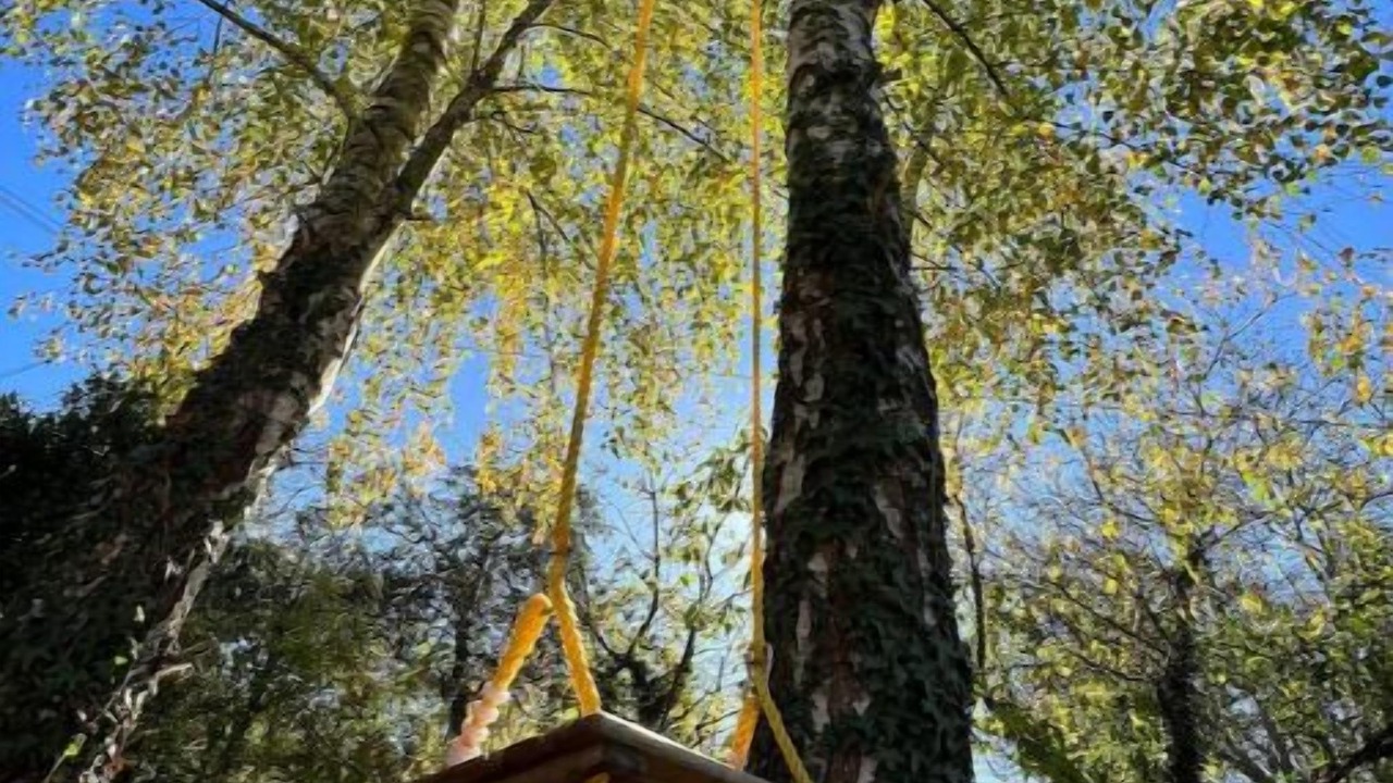 Photo of Others in Saint-Bonnet-de-Chavagne