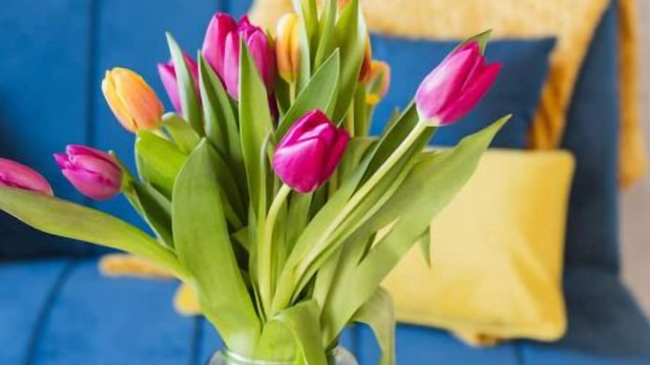 Photo of Others in Saint-Bonnet-de-Chavagne