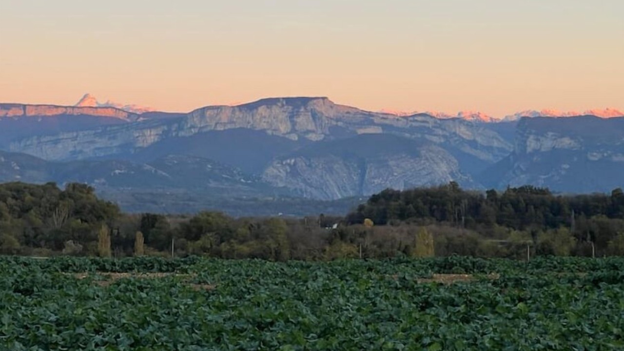Photo of Others in Saint-Bonnet-de-Chavagne