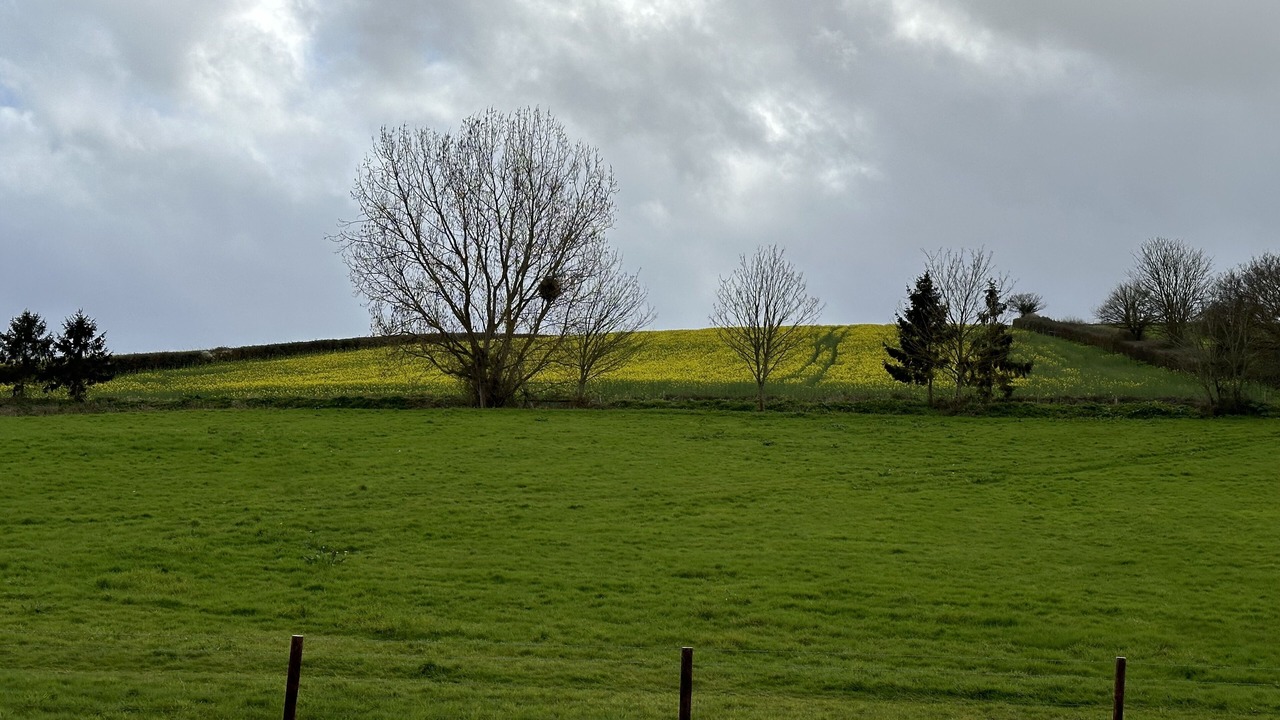 Photo of Others in Ide