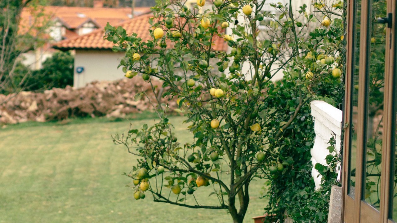 Photo of Outdoor in Cerrazo