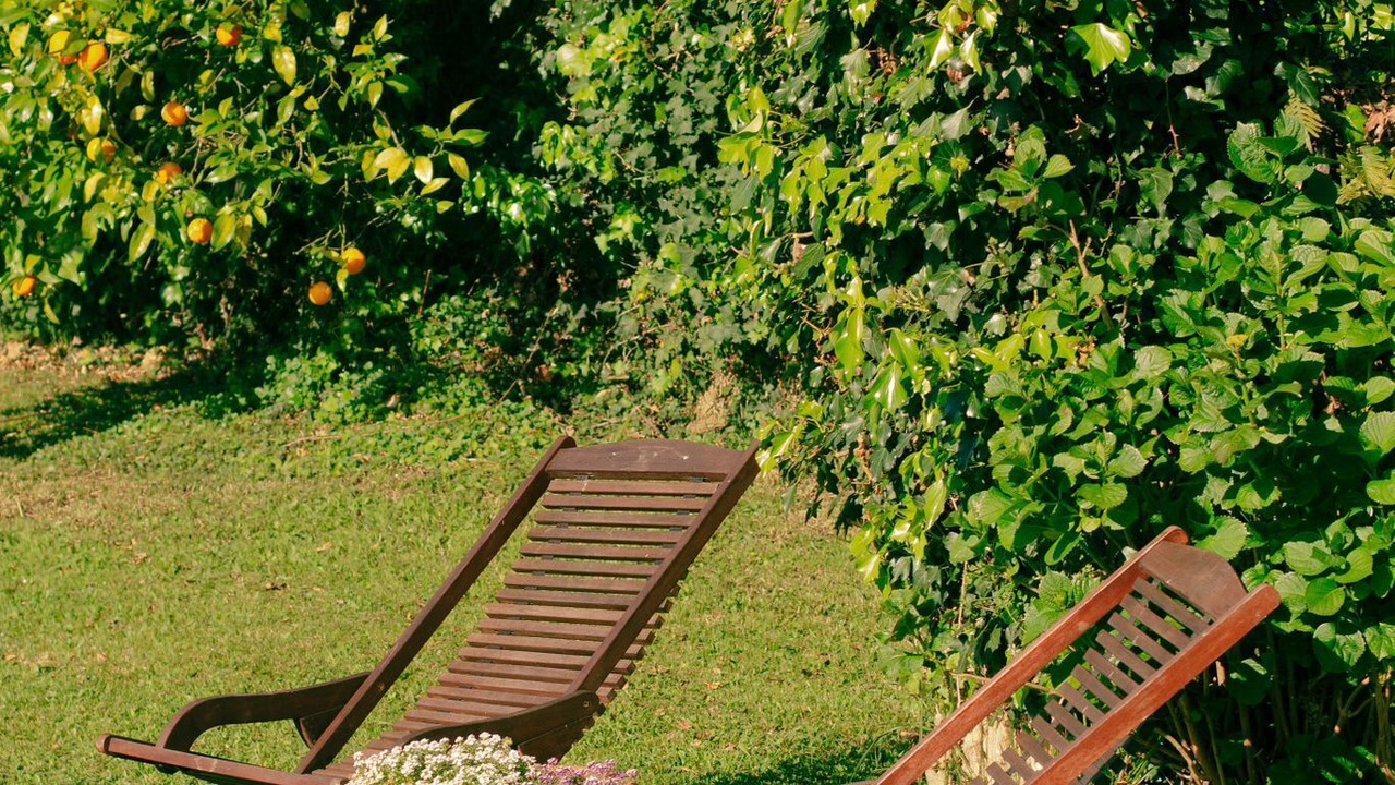 Photo of Outdoor in Cerrazo