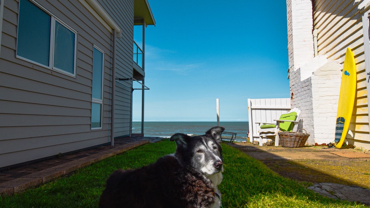 Photo of Outdoor in Middleton