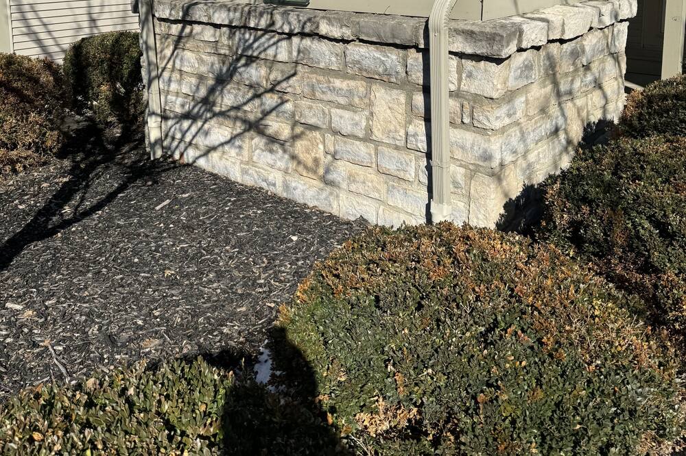 Photo of Others in Dublin