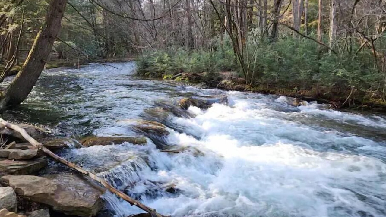 Photo of Others in Clearfield