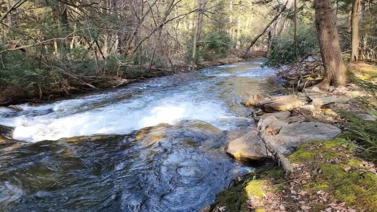 Photo of Outdoor in Clearfield