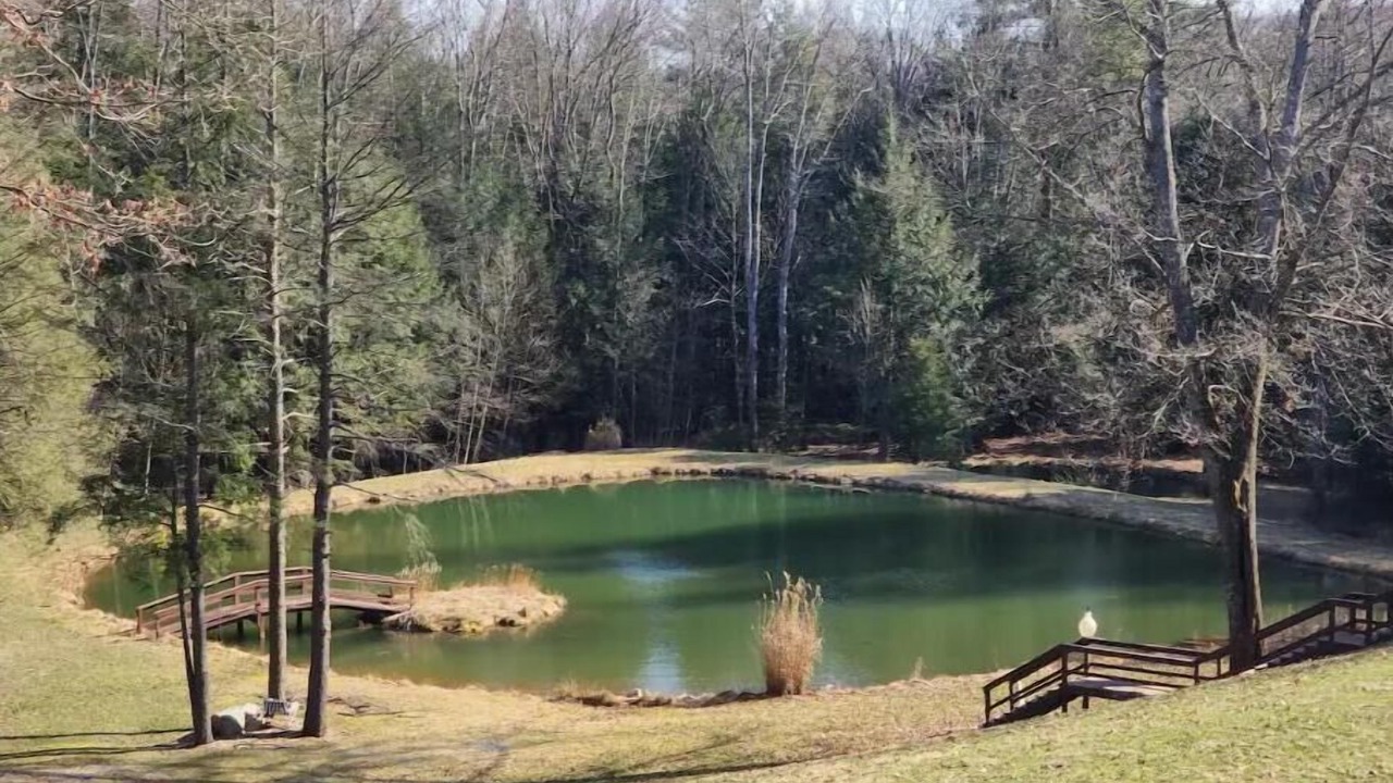 Photo of Others in Clearfield