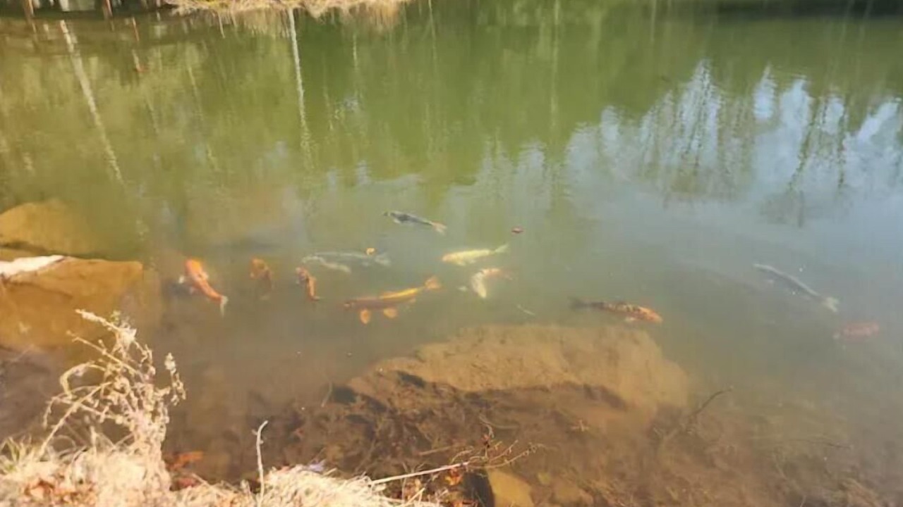 Photo of Others in Clearfield