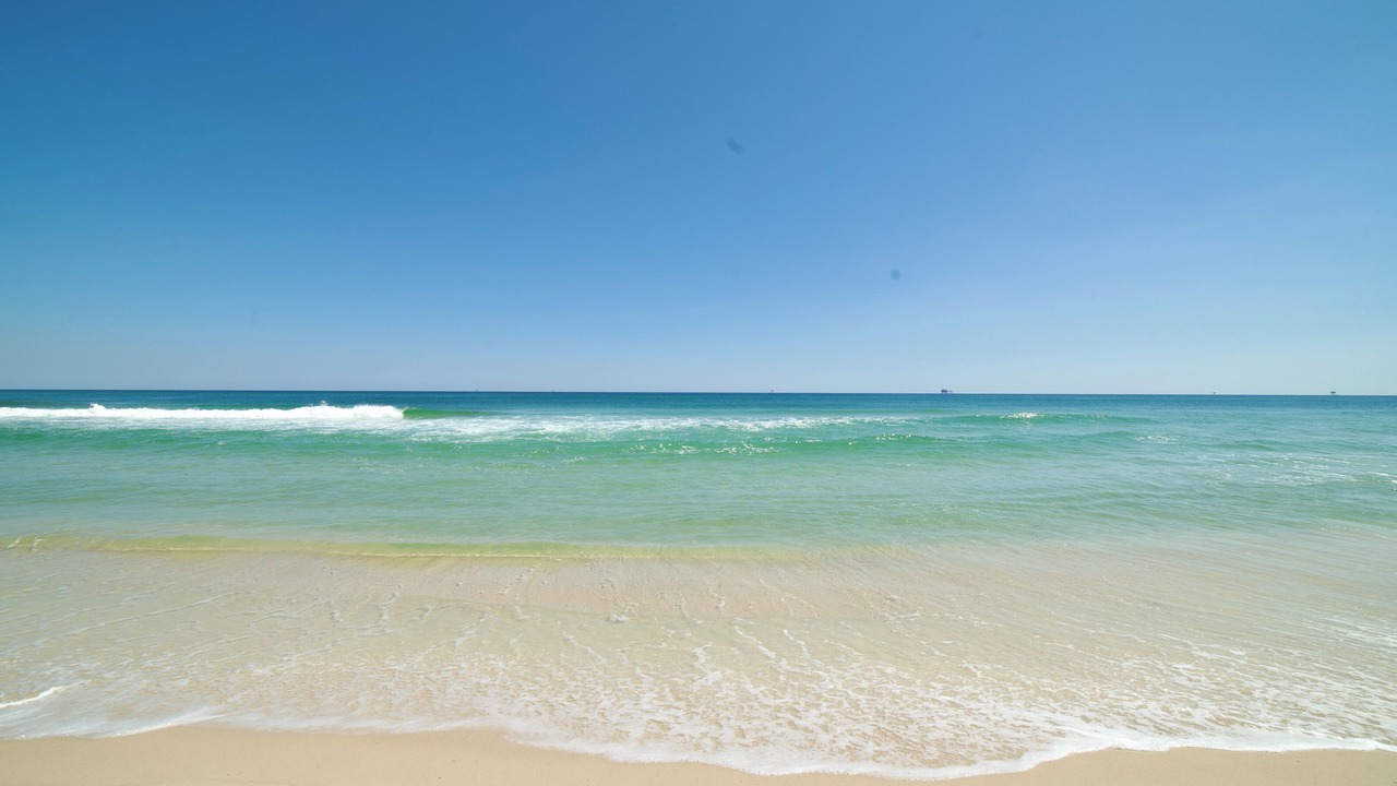 Photo of Others in Gulf Shores