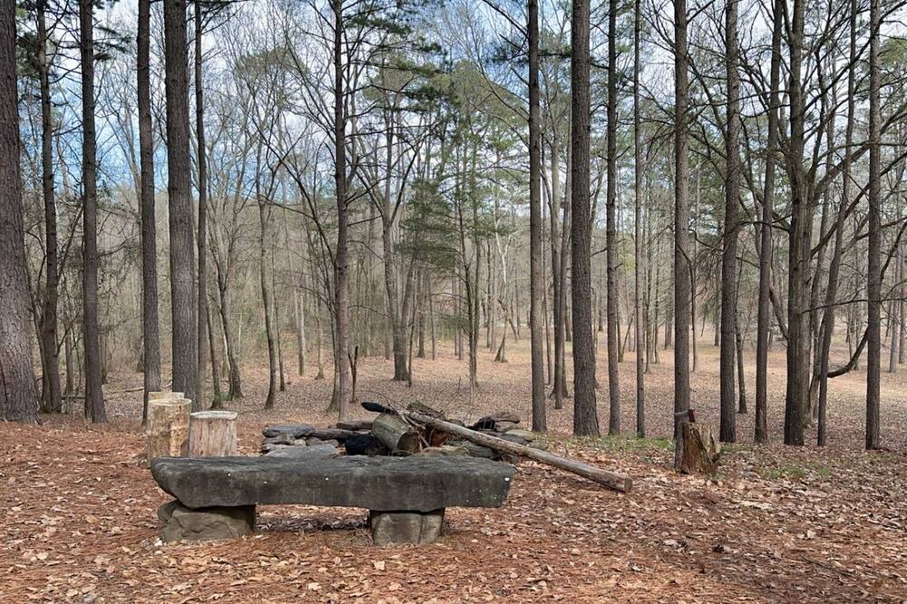 Photo of Outdoor in Dover