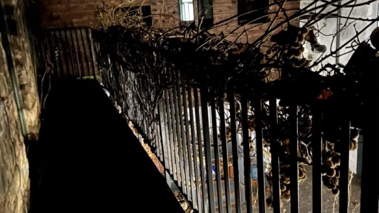 Photo of Outdoor in Richmond