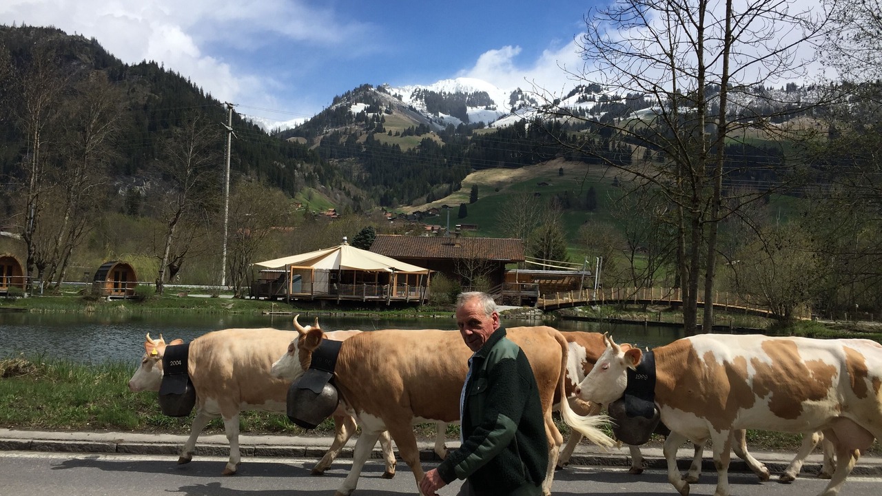 Photo of Outdoor in Zweisimmen