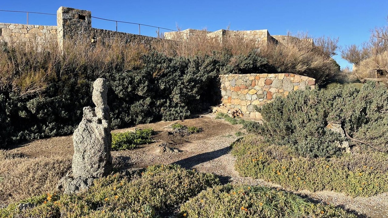 Photo of Others in Marine de Davia